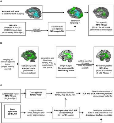 fMRI-Targeted High-Angular Resolution Diffusion MR Tractography to Identify Functional Language Tracts in Healthy Controls and Glioma Patients